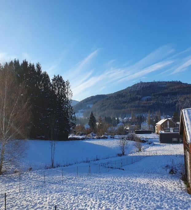 Chalet Les Boudieres 6 Pers Pres Gerardmer Cosy Billard Fraize Екстериор снимка