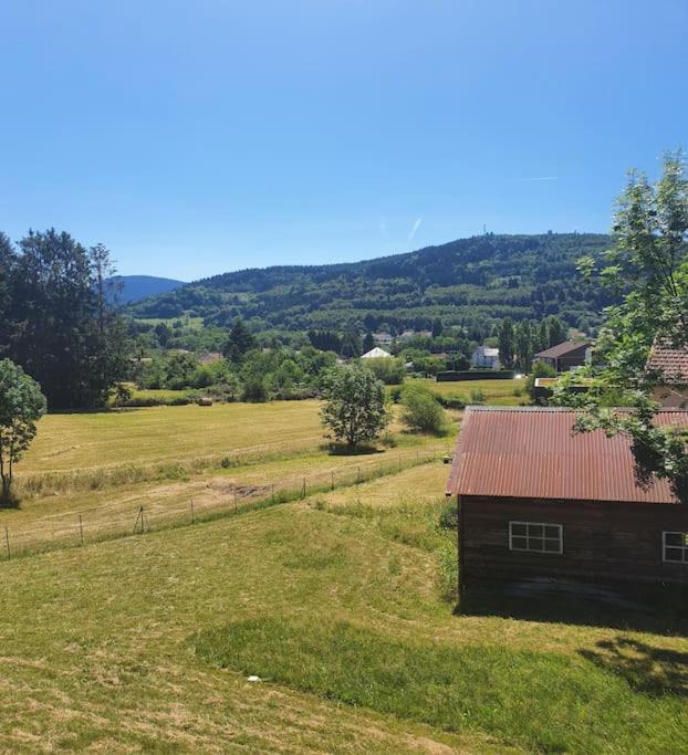 Chalet Les Boudieres 6 Pers Pres Gerardmer Cosy Billard Fraize Екстериор снимка